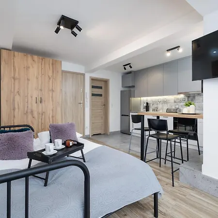Classic & Elegant Moniuszki In By Renters
